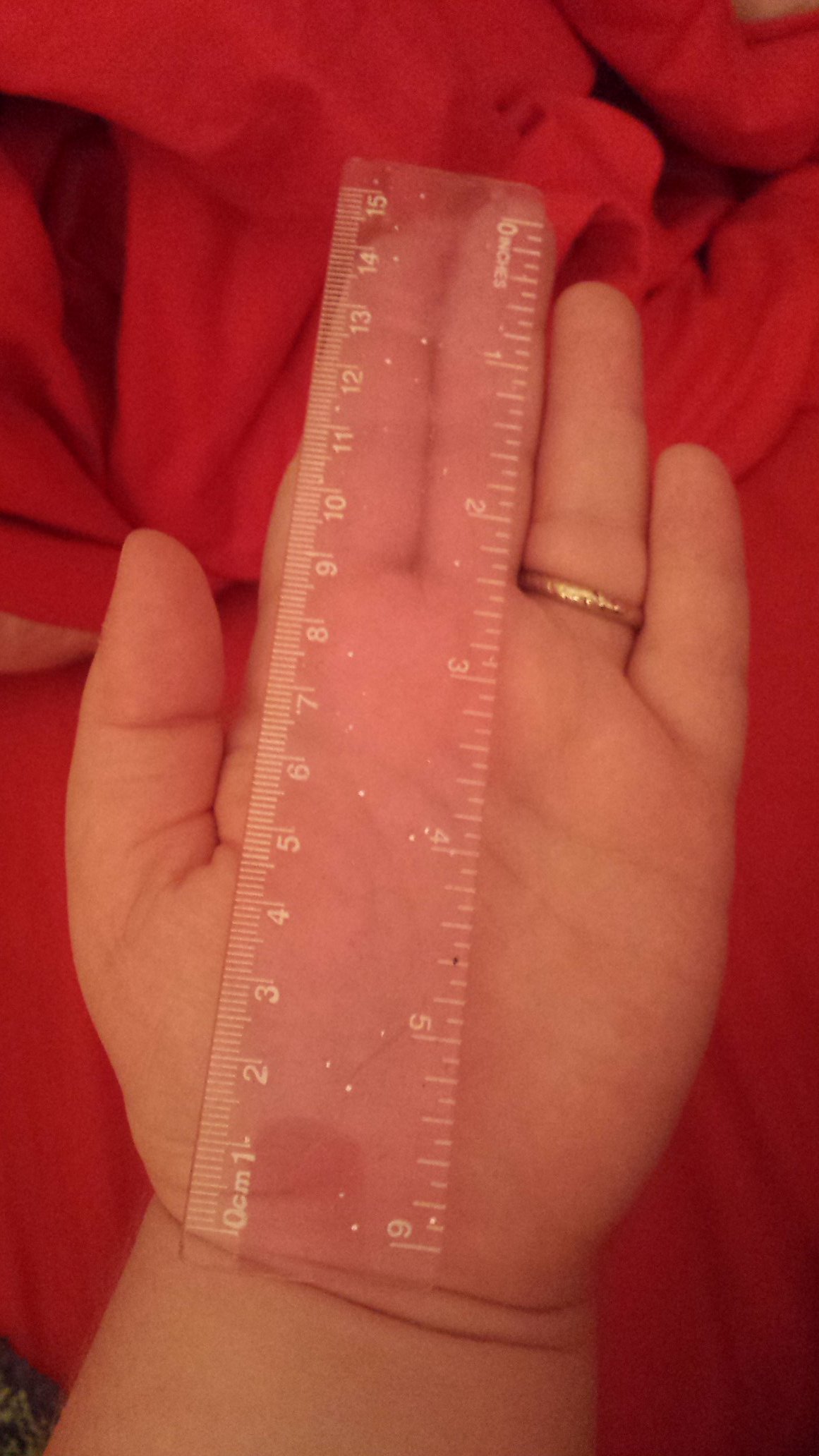 Mog Anarchy 🐱🎮🕹️🍔🇬🇧 on X: &ldquo;I&rsquo;m only 6 inches I&rsquo;m very 