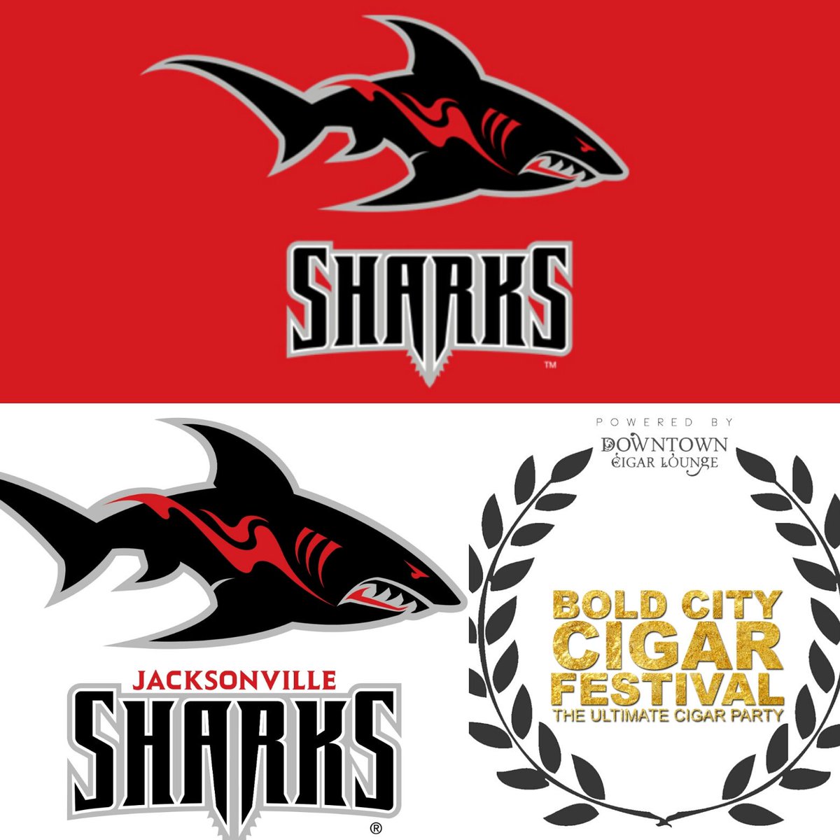 Islandgirljax's tweet photo. "THANK YOU"... JAX SHARKS ( https://t.co/iv0wYELNnO) see them Oct. 13th (Hosting the RECEPTION PARTY w JACK MAG) & at #BCCFJAX OCT 15th ! https://t.co/Vvzx3TiDH0