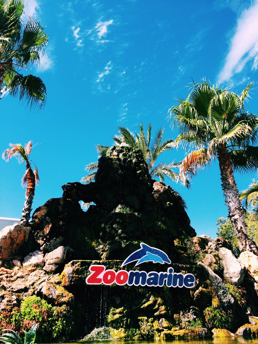 New post: Let's go to the Zoo 🎶💙 darlingohmy.blogspot.pt 👉🏼💻 #newpost #lblogger @FemaleBloggerRT