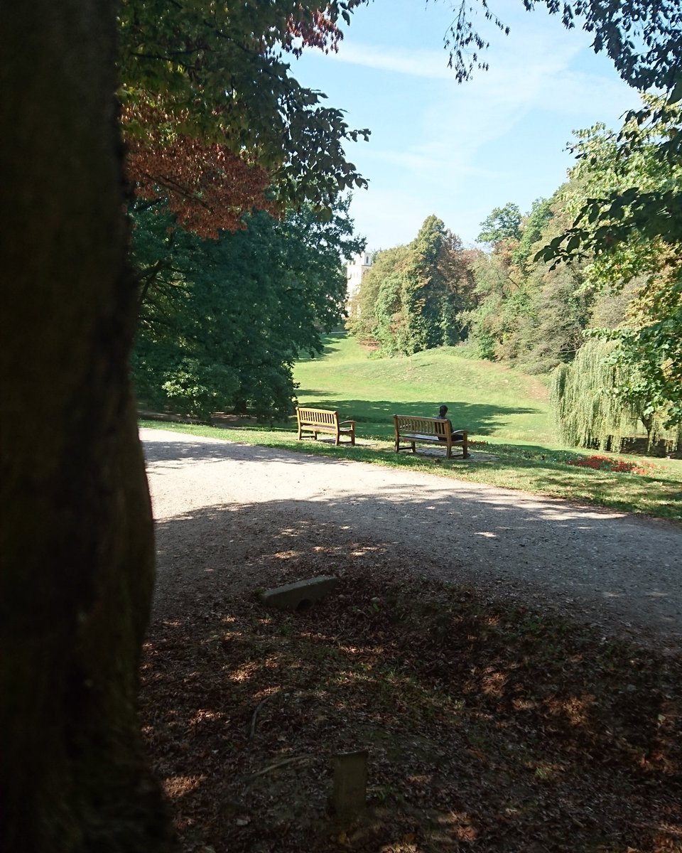 YazminVSRun's tweet photo. A rest a running #marathontraining #restraining #Maksimir #runzagreb @acicasrunmex https://t.co/fGOGrNFhIa