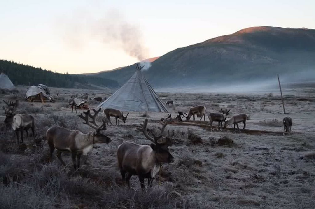 Өглөөний мэнд. Ууланд ч сэрүүхэн байгаадаа