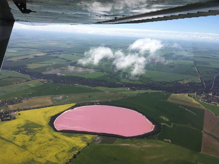 Daryl Scollary On Twitter Pink Lake Near Dimboola Vic This Week