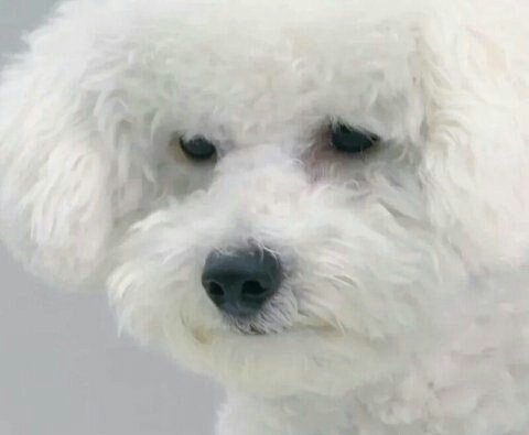 Dully_ss's tweet photo. @Wonder_rt 지인하자구!! https://t.co/kTNqRAr1tf