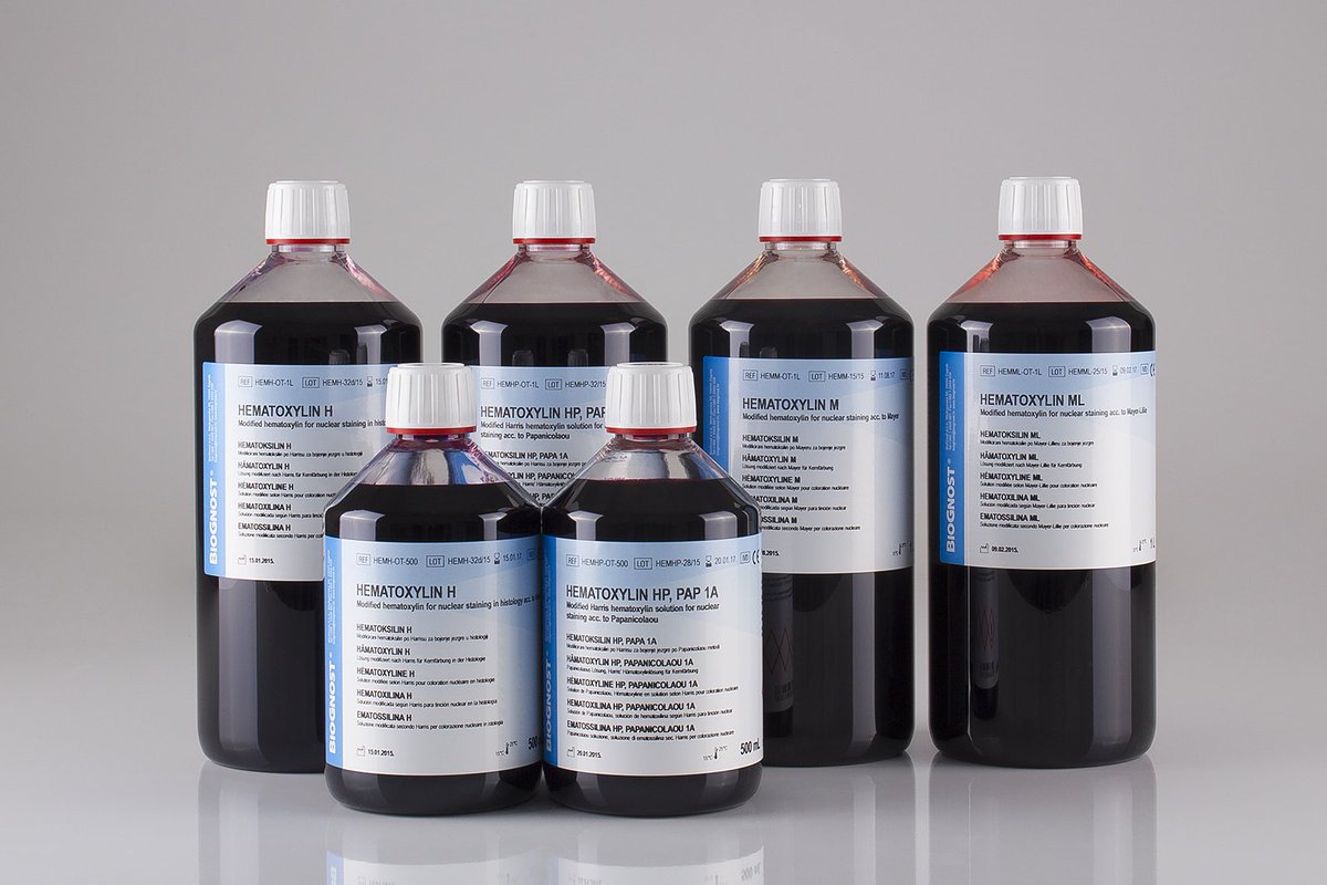 novogencomtr's tweet photo. Hematoxylin HP, Pap 1A
https://t.co/XKoND27gwQ
#hematoxylin #hematoksilen #papboyası #sitolojiboyası #sitolojiboyaları #biognosttürkiye https://t.co/PG1tlRMRg3