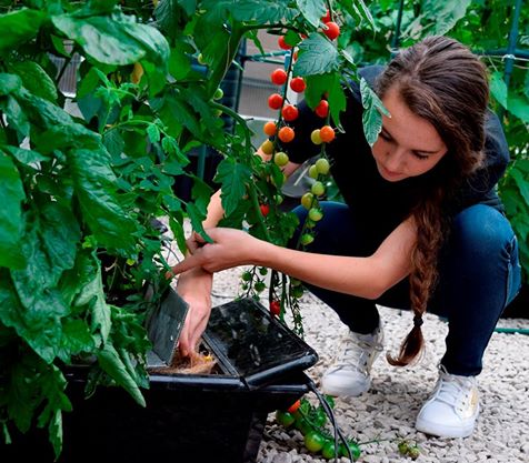 Do you have questions about using NFT? We think you'll find the answers you are looking for here:
nutsystems.co.uk/nft-faq