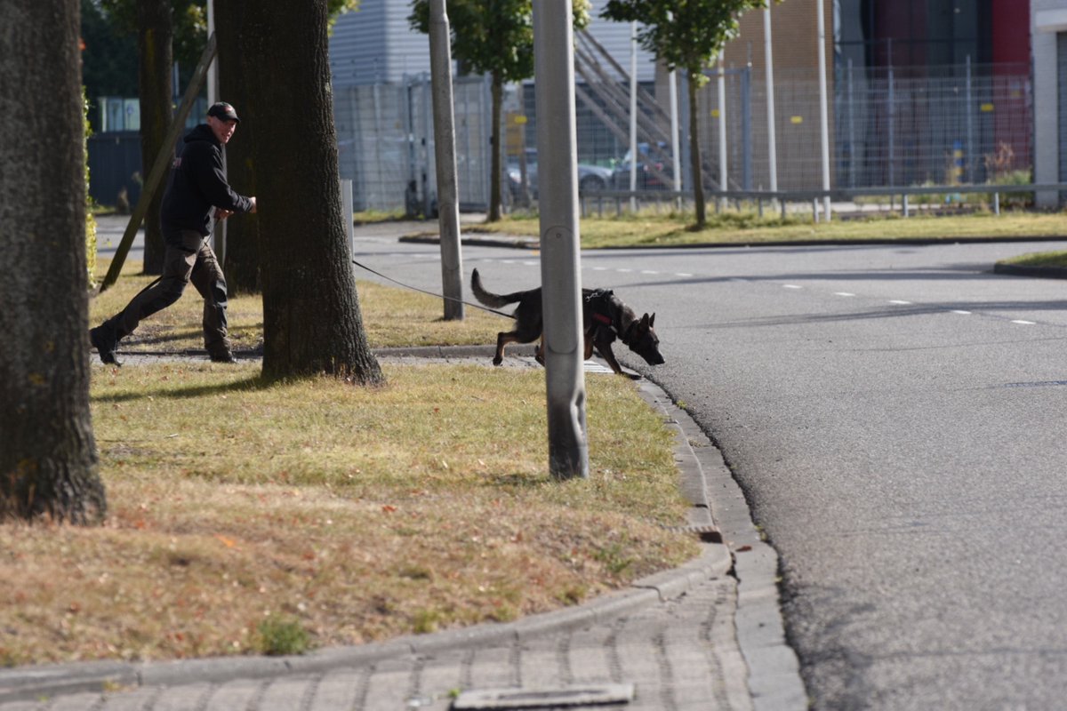 Availble trackingclasses for policedogs.