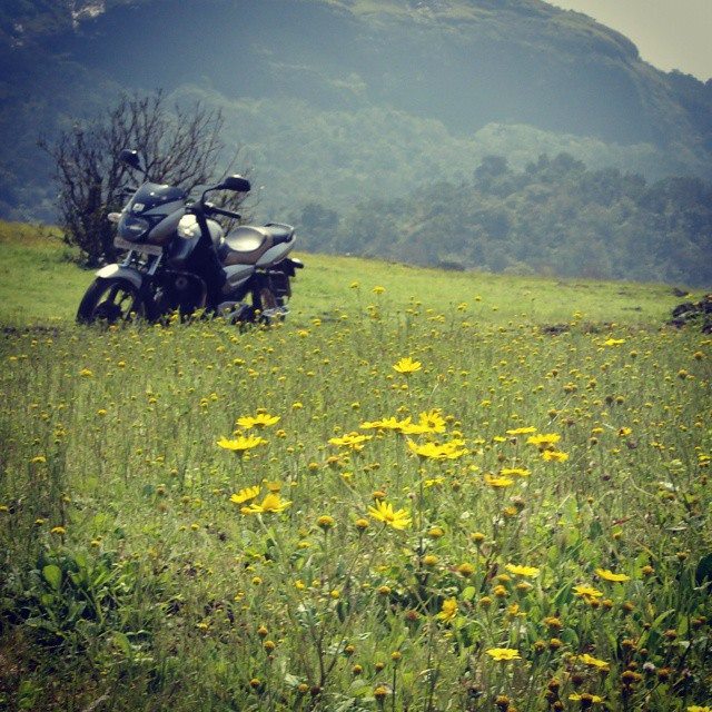 Inspiration from Yash Chopra #BikerLife #RomanticLocation #Scene #Flowers