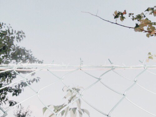 mmebetter's tweet image. เป็นอีกแอปที่ช่วยในการคุมโทน copyฟิลเตอร์ที่เราปรับไว้ แล้ว paste ในรูปต่อไป คือดีไม่ต้องมานั่งปรับทีละรูป #แอพดีบอกต่อ