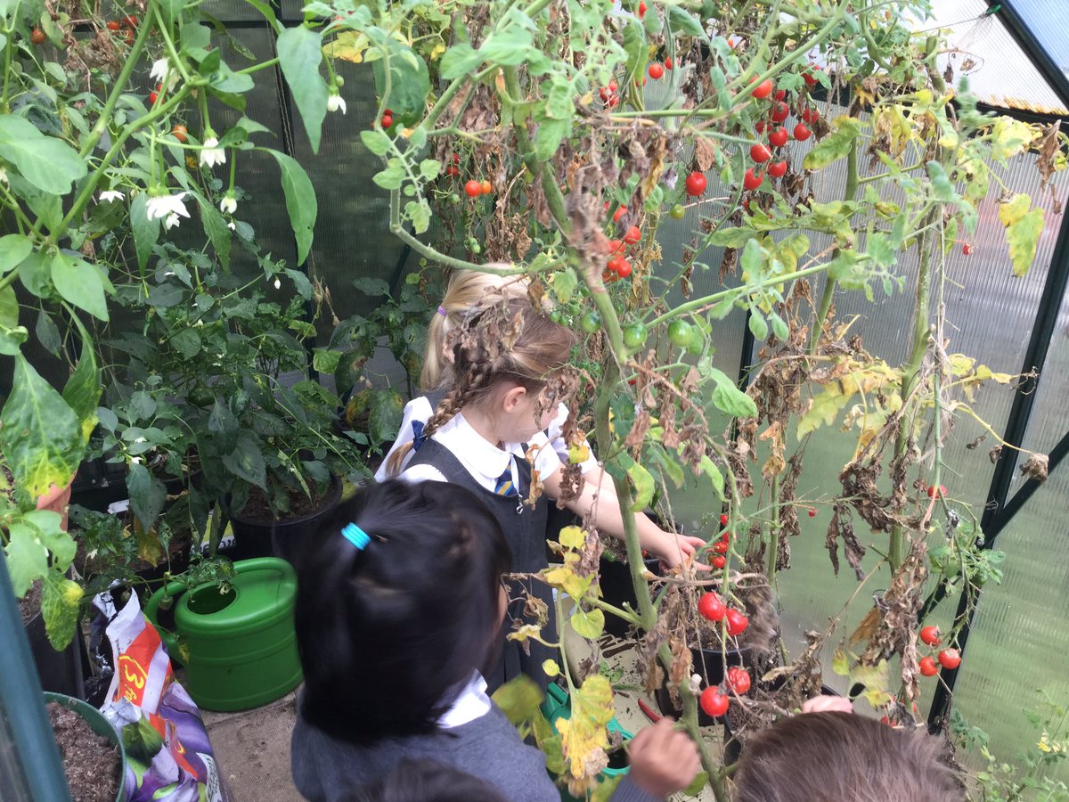 Markland Hill School tweet media