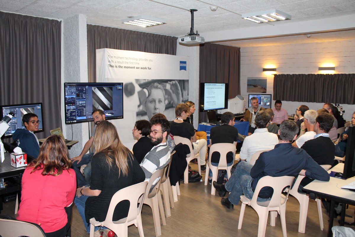 zeiss_micro's tweet image. Don&apos;t miss #ZEISS #Microscopy at #MiFoBio 2016 with talks, workshops and #Airyscan &amp;amp; #Lightsheet Z.1 hands-on gdr-miv.fr/mifobio2016/
