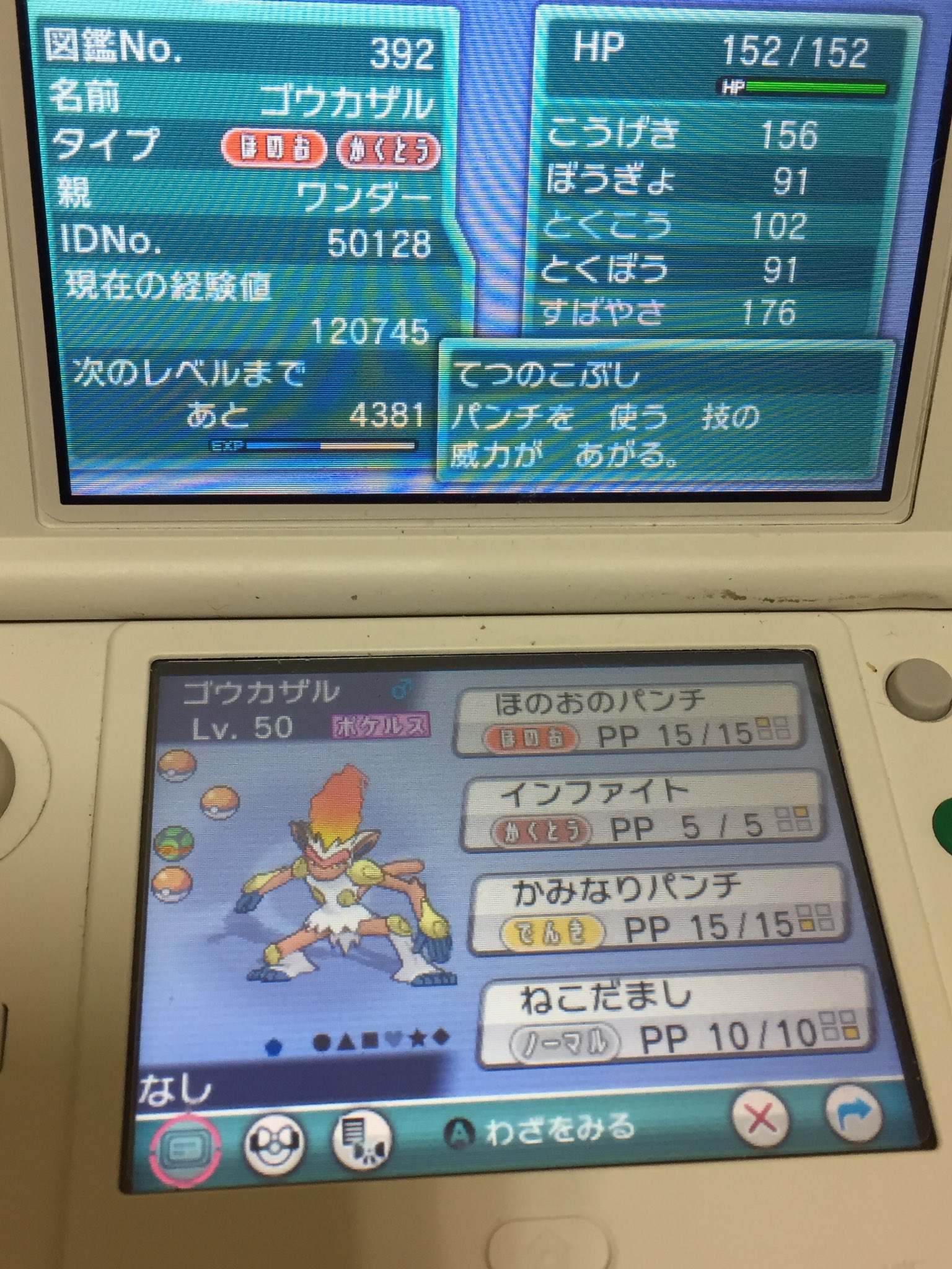 あめひつじ ポケモン配布 その3 画像の育成済み夢ゴウカザルを1名 メスの6v夢ヒコザルを1名に配布します 参加はrt 締め切りは8日午前６時59分まで 固定ツイート必読です ポケモン配布 T Co Zjx8esoz5y Twitter