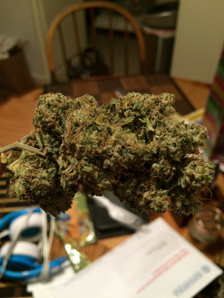 D1VERSITYENT's tweet photo. #KUSH #THChaserz #BiggerNUGZbiggerCLOUDZ #diversityENT and #DiversePROD smoking #247 #366 https://t.co/46NCLHCjLa