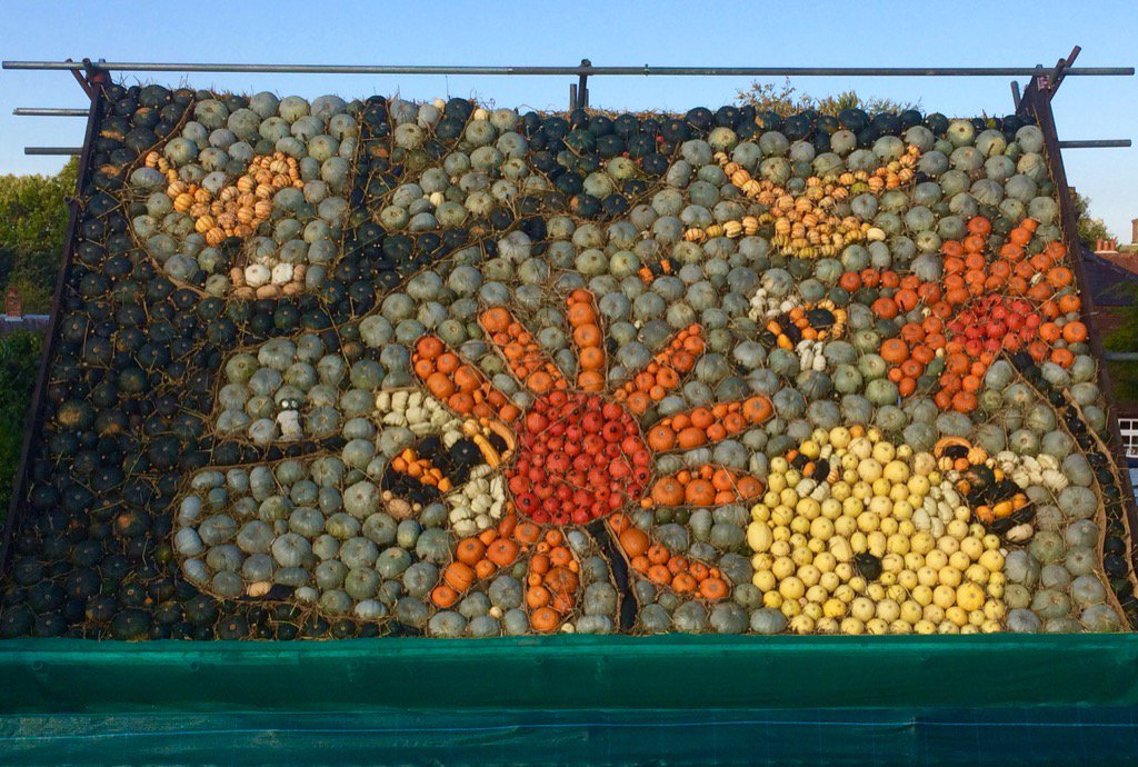slindonpumpkins tweet picture