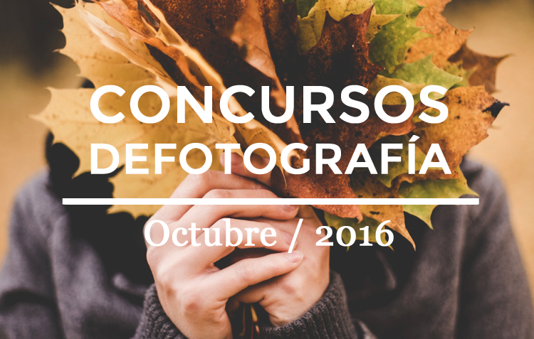 concursosdefoto's tweet image. Los 10 mejores #concursosdefotografía del mes 10 del calendario ➜ bit.ly/2dtkVbN - #photocontest #beca #premios