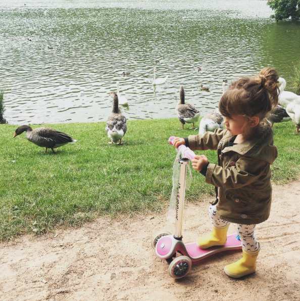 Globber France tweet media