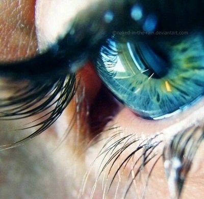 java_kadar's tweet image. 