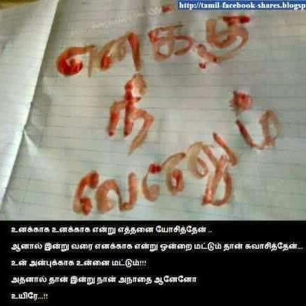 java_kadar's tweet image. 