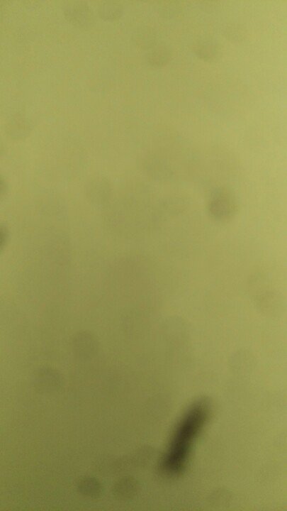 collect_secret's tweet photo. Attainment https://t.co/Tnnm7QFT7P