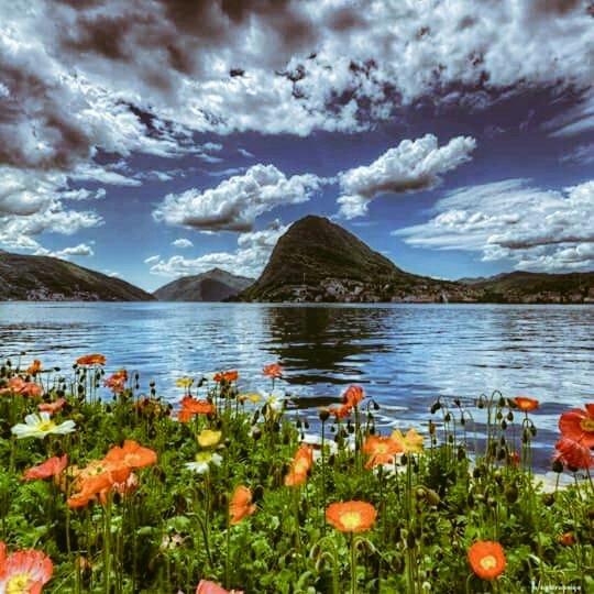 Morning dear friends ☕
#internationaldayofpeace is needed everyday so let's pray for World peace #FridayFeeling 
 🕊