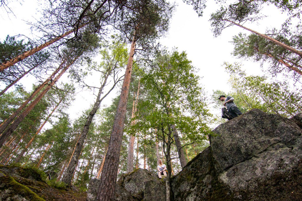 Kalliota halailtavaksi asti: Sippulanniemen luontopolku Jyväskylässä retkipaikka.fi/vapaa/kalliota…