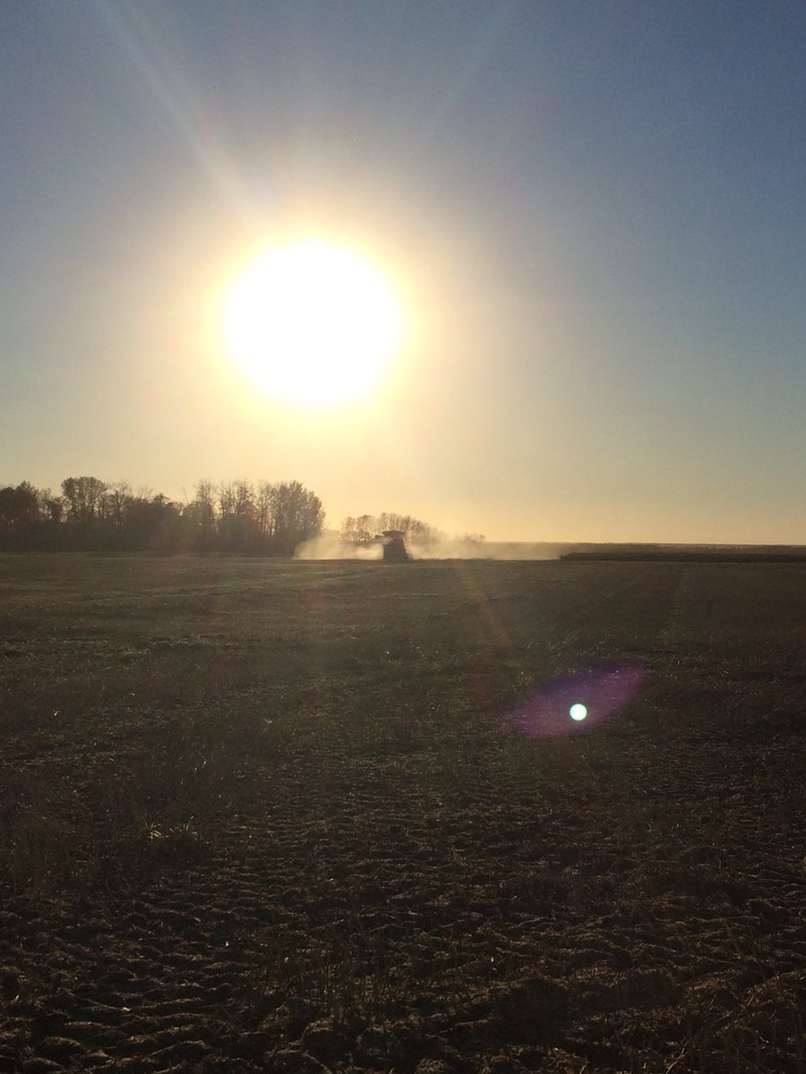 A beautiful day in #Roblin to take off another #InVigor DST Thank you <a href="/Guyhammond7/">Guy Hammond</a> it was great working with you!