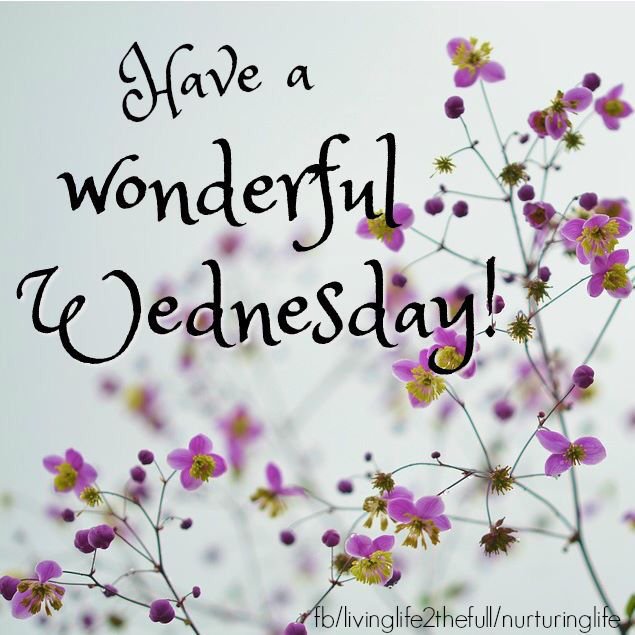 Rapidexpress_id's tweet photo. Good Morning,
Happy Wednesday, Selamat Beraktivitas :-)

#happywednesday #startup #happywork #rapidexpress #expedisi #Jakarta https://t.co/0t46n2oAFb