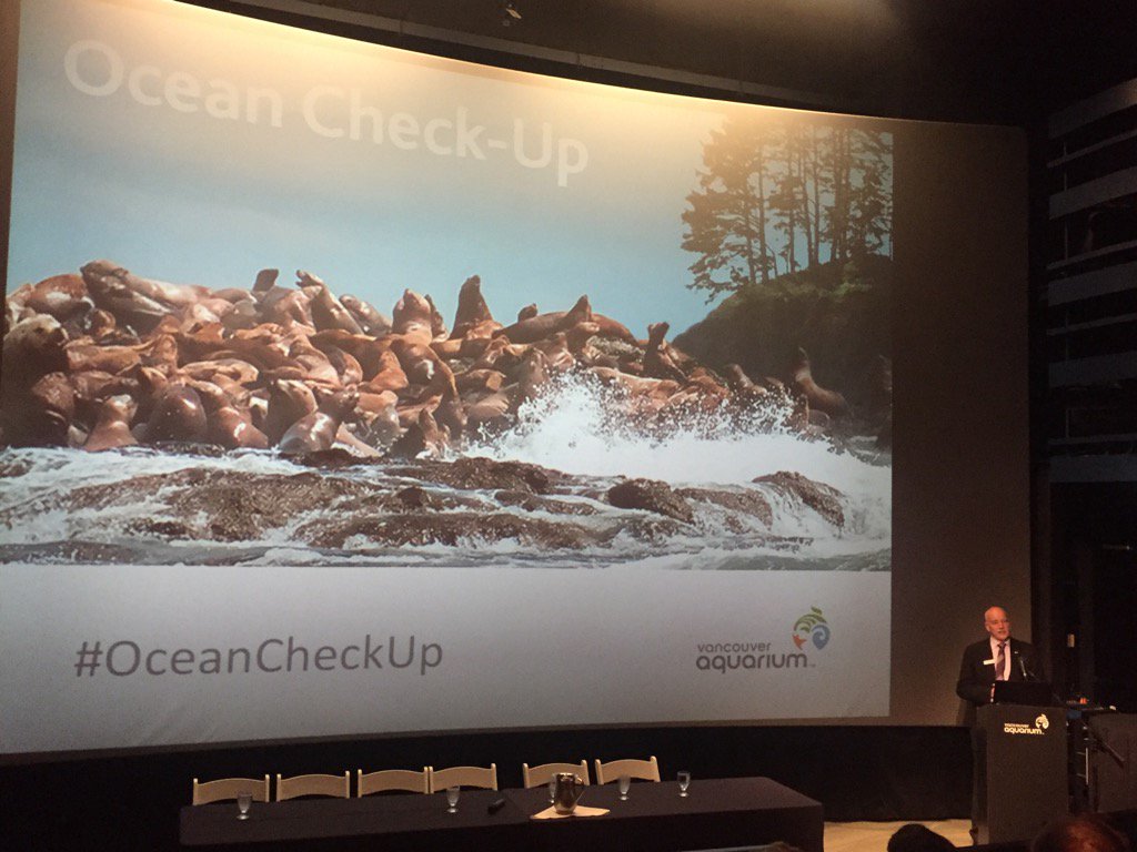 Dolf_DeJong's tweet photo. An #oceancheckup, watch this program @vanaqua live now https://t.co/lYgastnyTl https://t.co/KGoKZ8MhKh