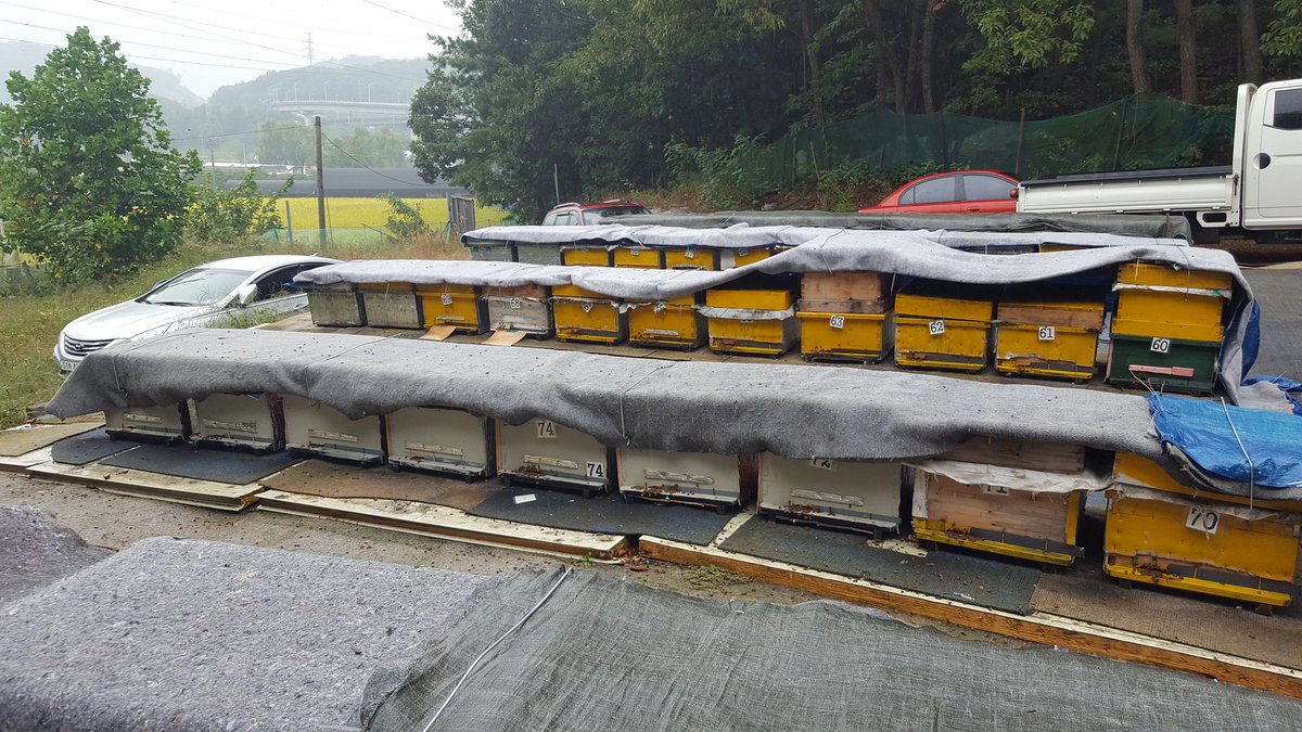 #성남시농업기술센터 #시민양봉교육  귀농귀촌을 위한 준비와 취미로 꿀을 따고싶어하시는 교육생 25명이 열공!