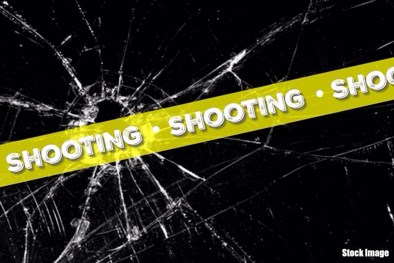 Alert: DPD investigating shooting in 2500 Blk S Federal. 2 victims transported to hosp.; no suspect(s) in custody.