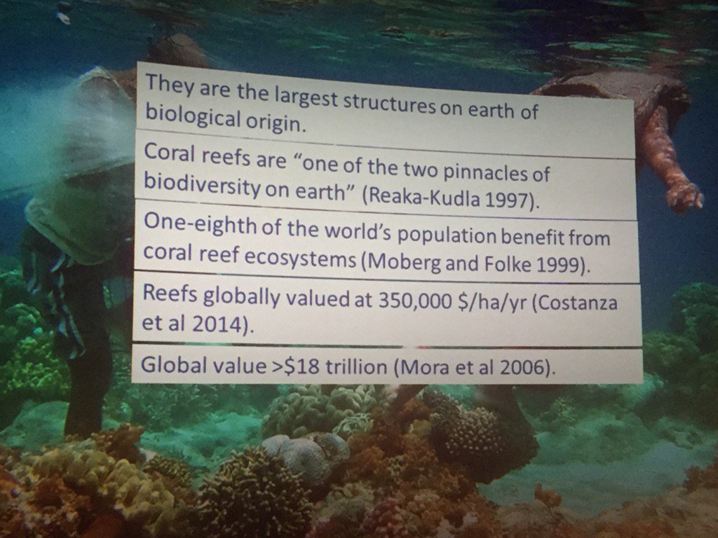 Dolf_DeJong's tweet photo. #coral #reef systems valued at $18T/yr in #ecosystem services- #trump can't buy that! #oceancheckup #9thIAC https://t.co/JR1ERWxiGB