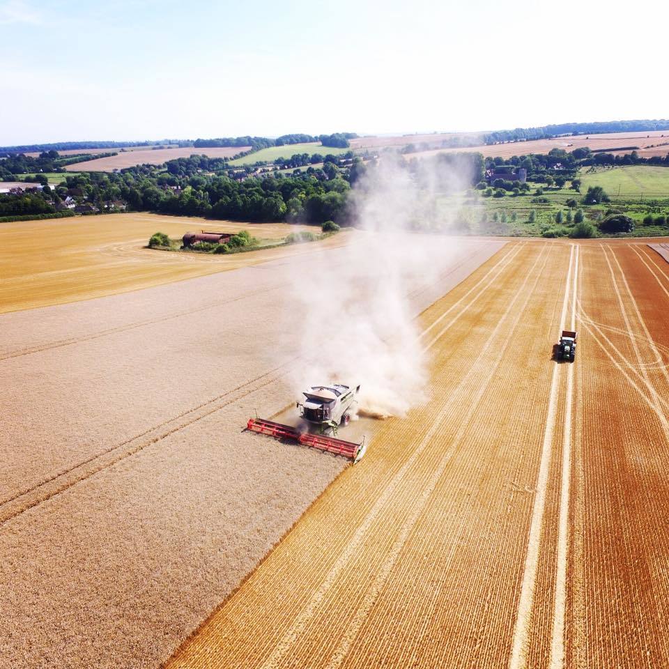 Samuel Babich (@texeltips) on Twitter photo 