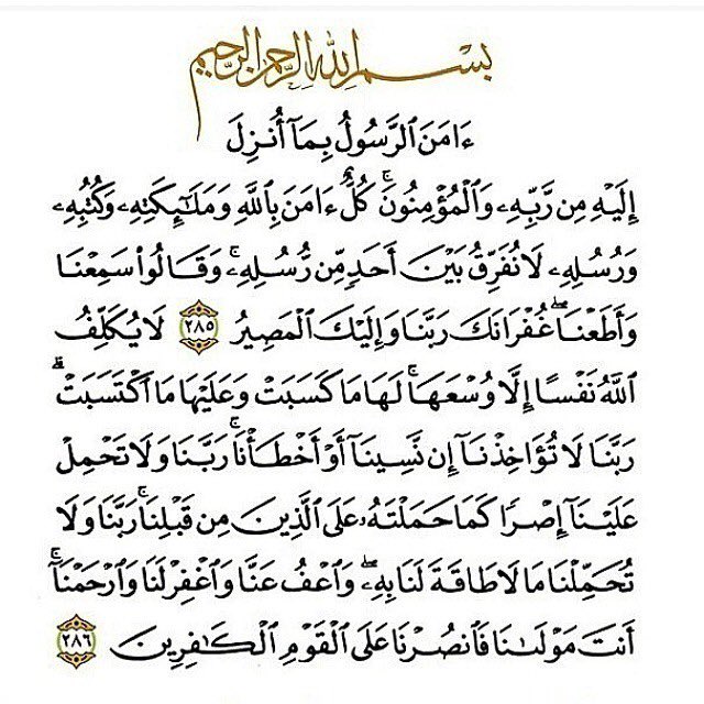 ms_msaa's tweet photo. ﷽ https://t.co/4x1z8QwtsP