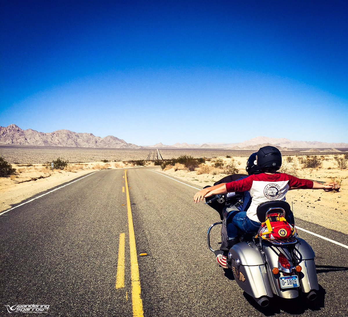 couchboyjoe's tweet photo. That warm fuzzy feeling that the open road provides.
#WanderingSparrow https://t.co/Ogpnievx4I