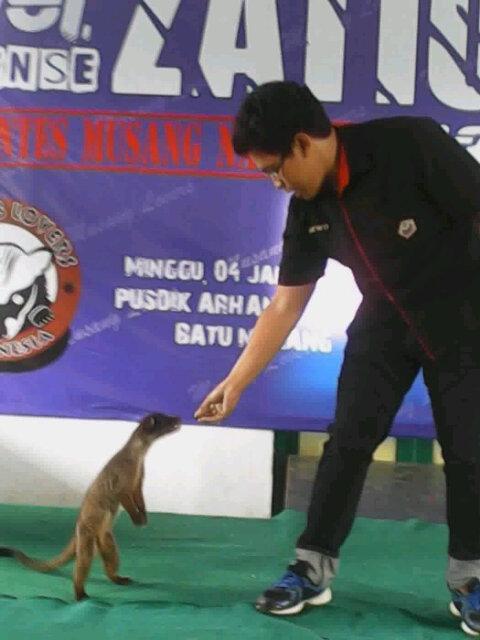 dewo_lubis's tweet photo. Join my LIVE on #BIGOLIVE. https://t.co/VatJIPJSsN https://t.co/tf6PLyKCrT