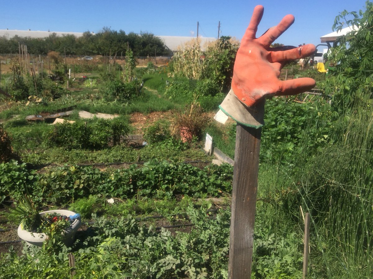 kimbrunhuber's tweet photo. In California's farm belt, 'pesticide drift' has residents worried about their health https://t.co/jZOjzDDhFA #cbcnews https://t.co/wgHbgAq9zZ