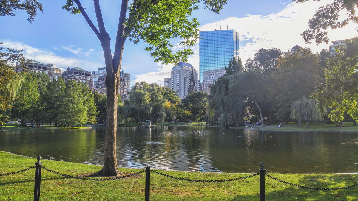 kenyannous's tweet photo. View of reflection #boston #bostonpublicgarden #repboston @BostonDotCom #bostonstrong #loveboston https://t.co/YMj6DM5yU9