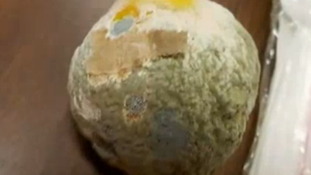 'Would you have your child eat this?': CPS teacher says school served student moldy food