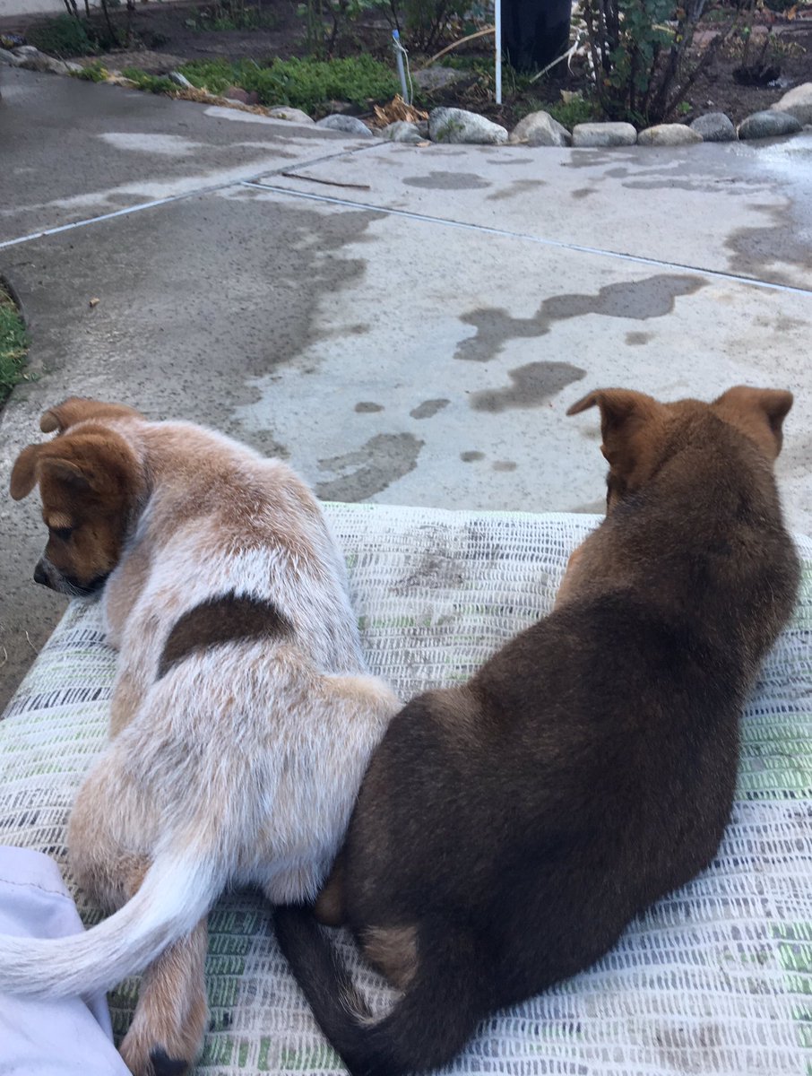 _dame666's tweet photo. Franz &amp; Jean 💕 https://t.co/fh7do3XoKB