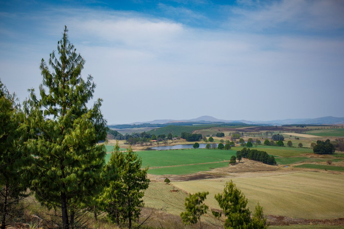 Glencairn Trail Run (@glencairntr) on Twitter photo Imagine running a trail run with views like this! You can at the <a href="/glencairntr/">Glencairn Trail Run</a> Enter now!!!! 28th - 30th October. #trailrunning #southafrica Imagine running a trail run with views like this! You can at the <a href="/glencairntr/">Glencairn Trail Run</a> Enter now!!!! 28th - 30th October. #trailrunning #southafrica