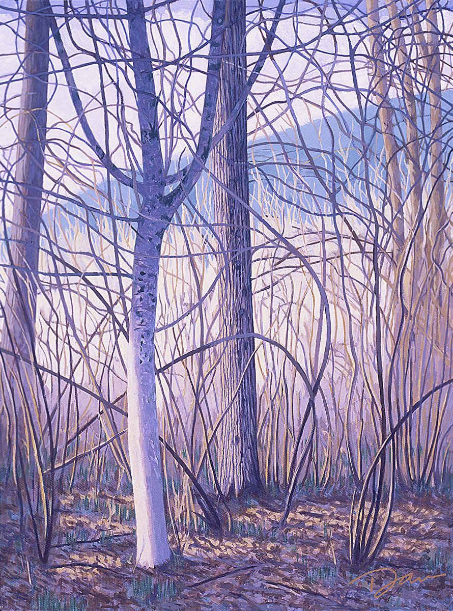 DanCooperArt's tweet photo. In the Forest, The Kootenays, Canada https://t.co/qjbZQnTeoT #art #painting https://t.co/wemkU4dY36