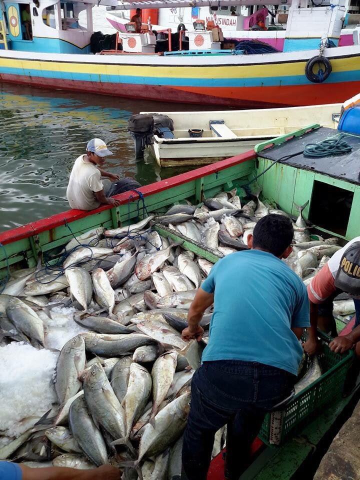 Resky Dwi Angraeni on Twitter: "Luhkan penanganan ikan di atas kapal, di  TPI-Sodooha. Kota Kendari. @pusluhdayakp @PPBPUSLUHDAYAKP… "