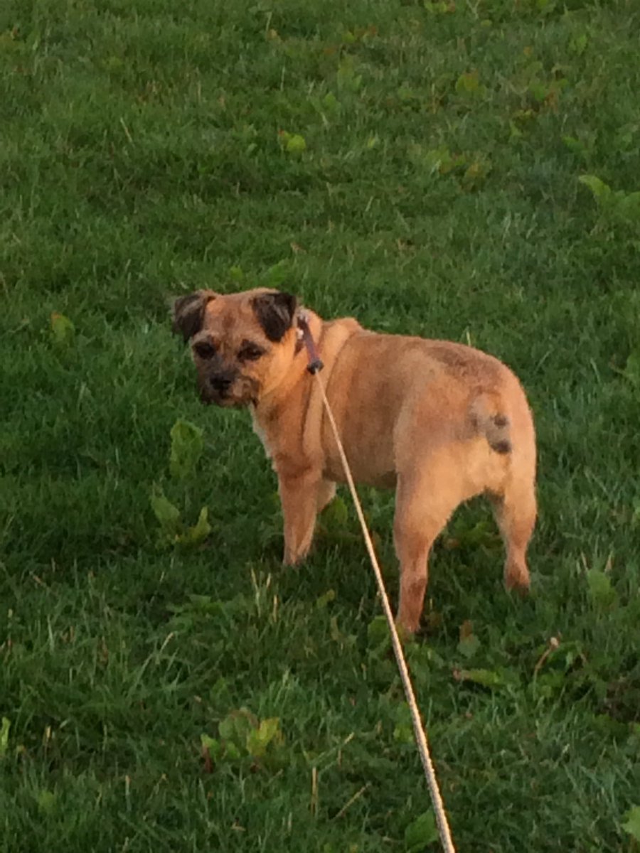 Miss Pip and I are ready to go #walking, them listing #vintage delights on LBV #website