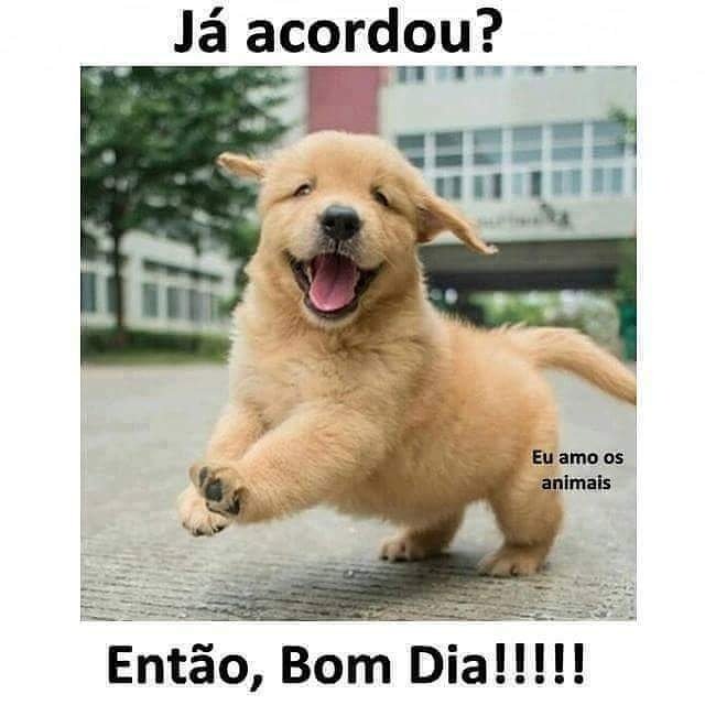 enosms's tweet photo. @hildamorena1 @EvaSilvaDias1 @thrim_thrim @JuliaZek @helenadebivar @zaildacoirano @zailda @ptbrazil @lvsosidiomas @inglesdiadema Bom dia!✌☕😉 https://t.co/BnKCiIwjdj
