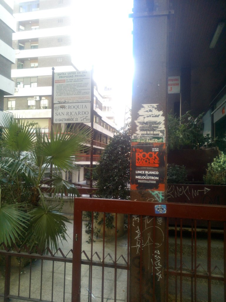 Melocotron tweet media