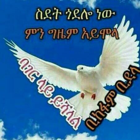 worknesh3 tweet picture