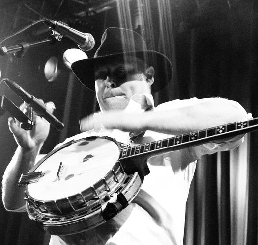 Ceilidh Tree tweet media