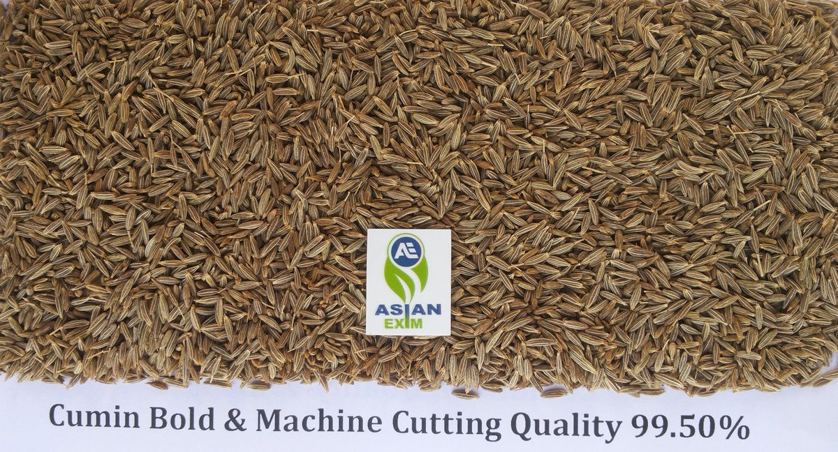 AsianExim's tweet image. Greeting From Asian Exim
We have Ready Stock of Export Quality Whole Cumin Seeds 
Contact Us Only Indian Exporters
Call Now:- +919722258700