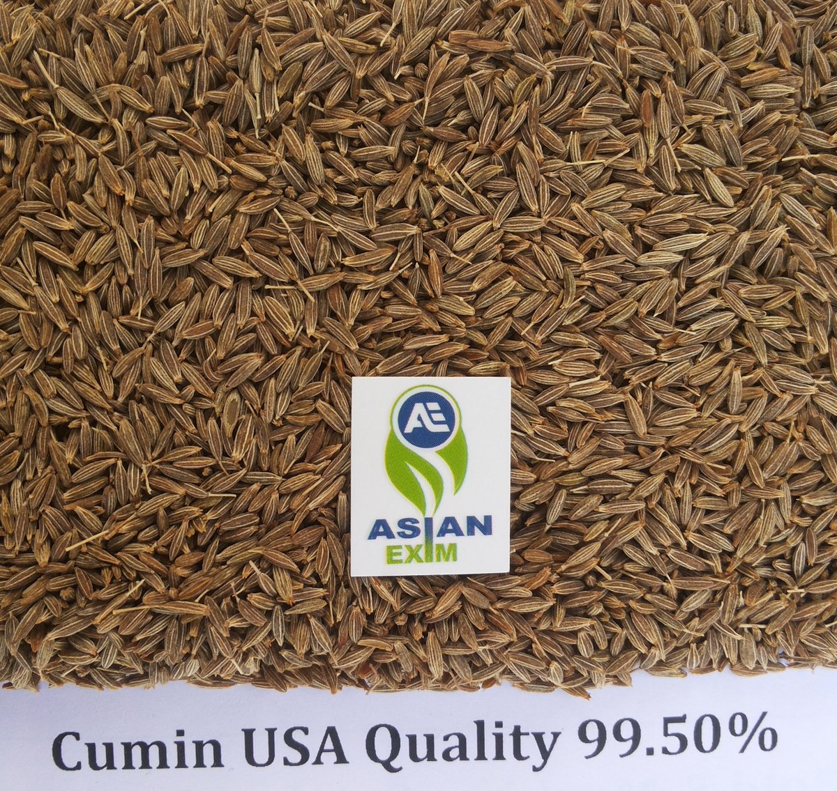 AsianExim's tweet image. Greeting From Asian Exim
We have Ready Stock of Export Quality Whole Cumin Seeds 
Contact Us Only Indian Exporters
Call Now:- +919722258700