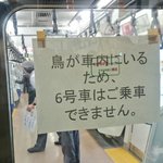 車内に鳥が乗っているので運転見合わせ？JR社員4人がけでも捕まえれないなんて!