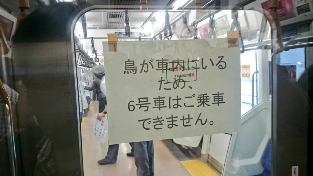 車内に鳥が乗っているので運転見合わせ？JR社員4人がけでも捕まえれないなんてwww